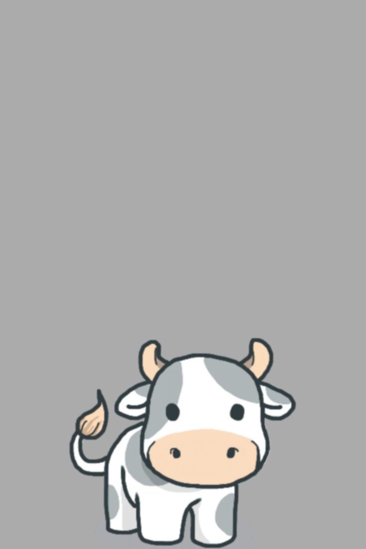 Iphone Cow Wallpapers