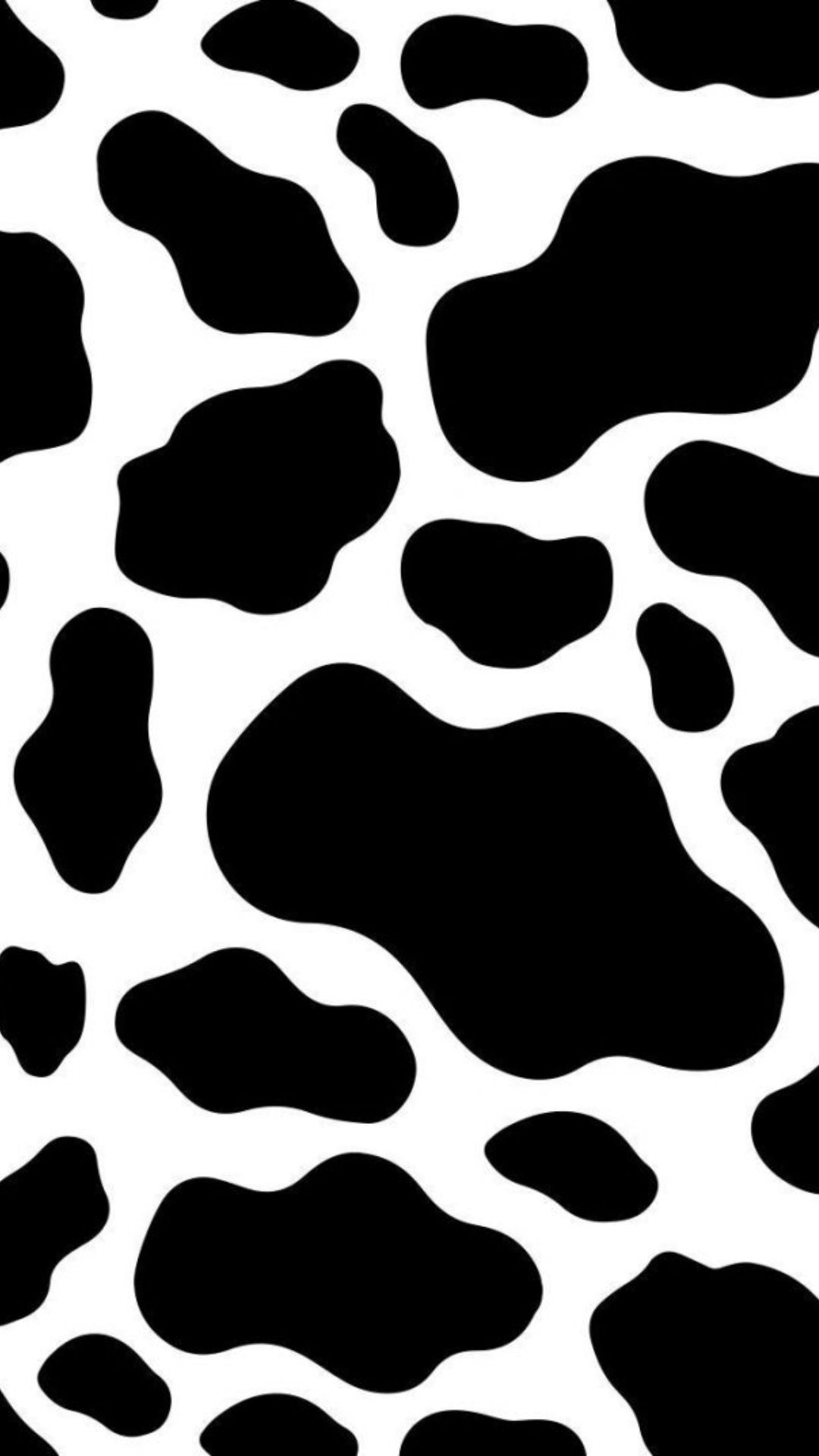 Iphone Cow Wallpapers