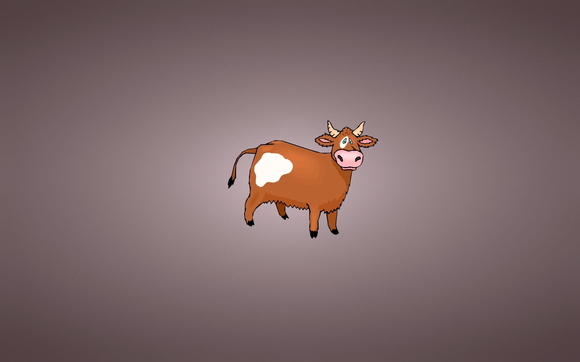 Iphone Cow Wallpapers
