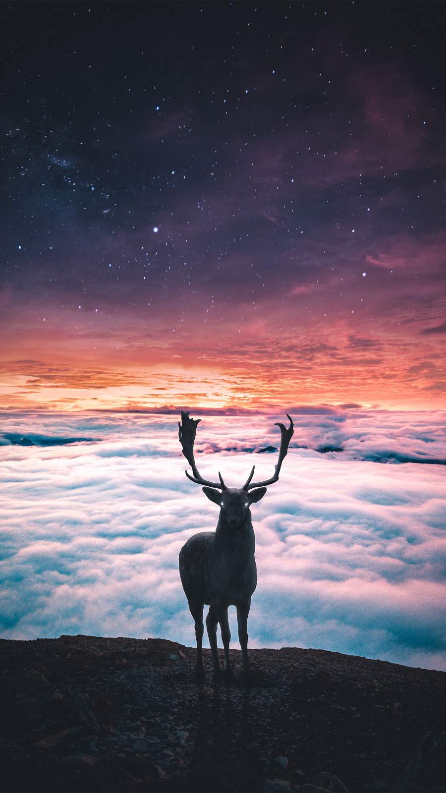 Iphone Deer Wallpapers