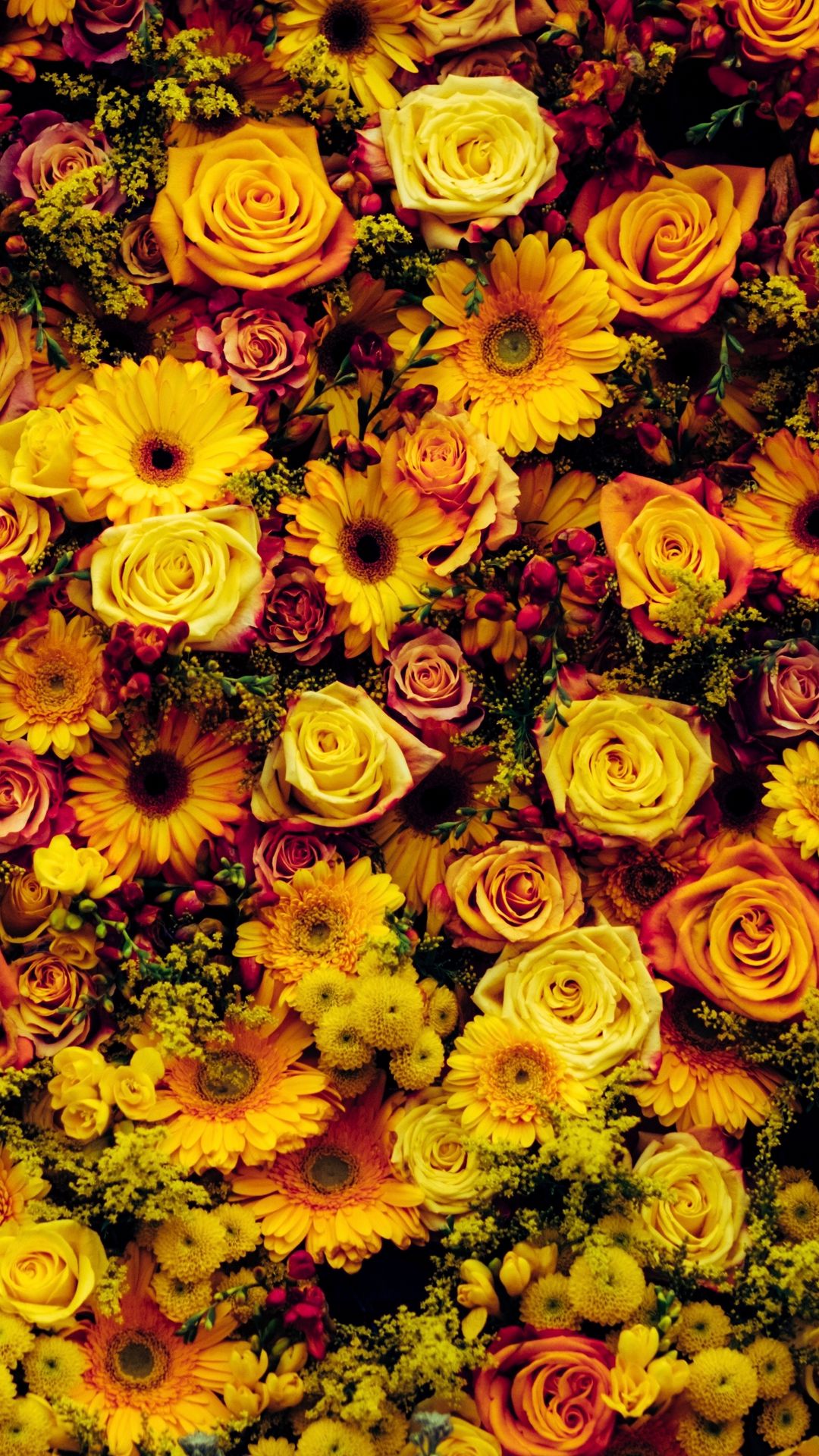 Iphone Fall Flowers Wallpapers