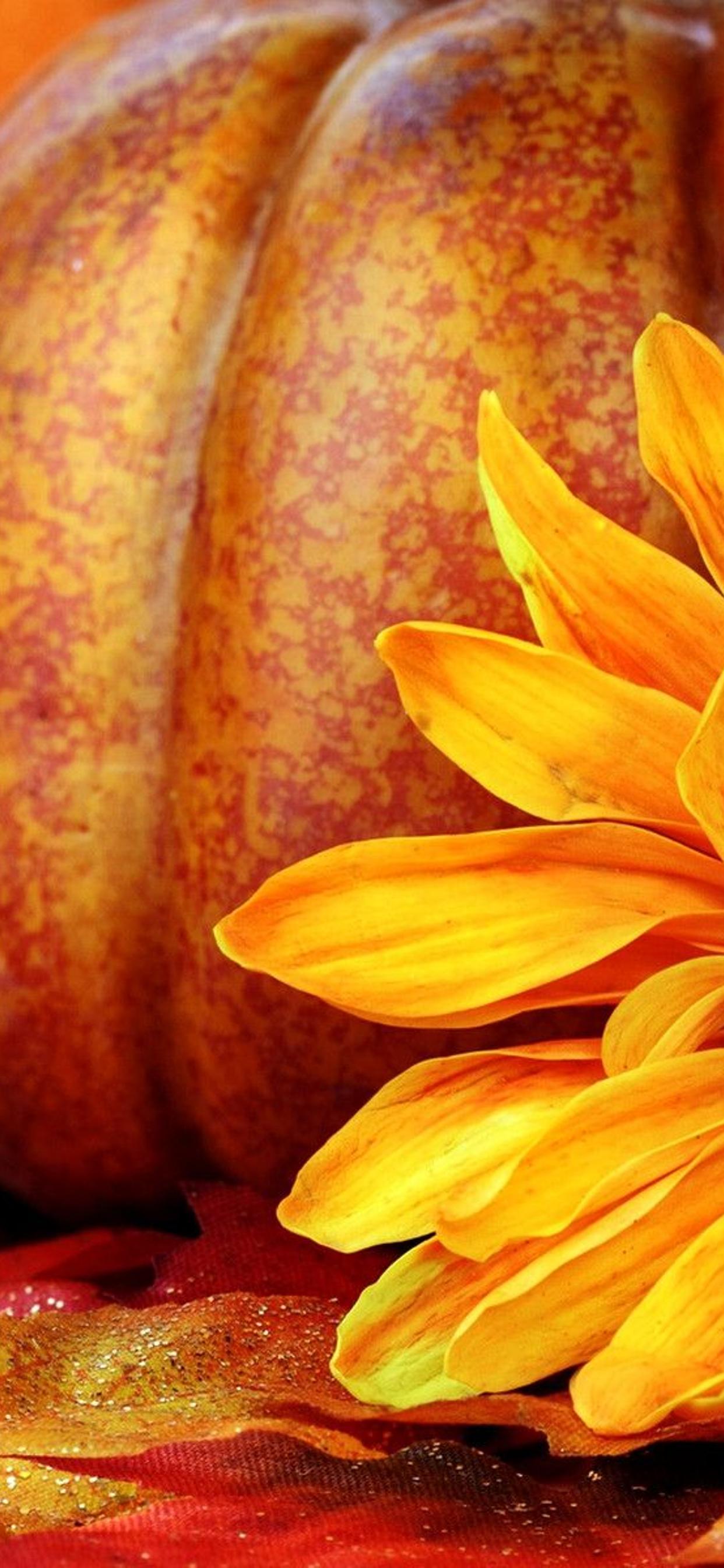 Iphone Fall Flowers Wallpapers