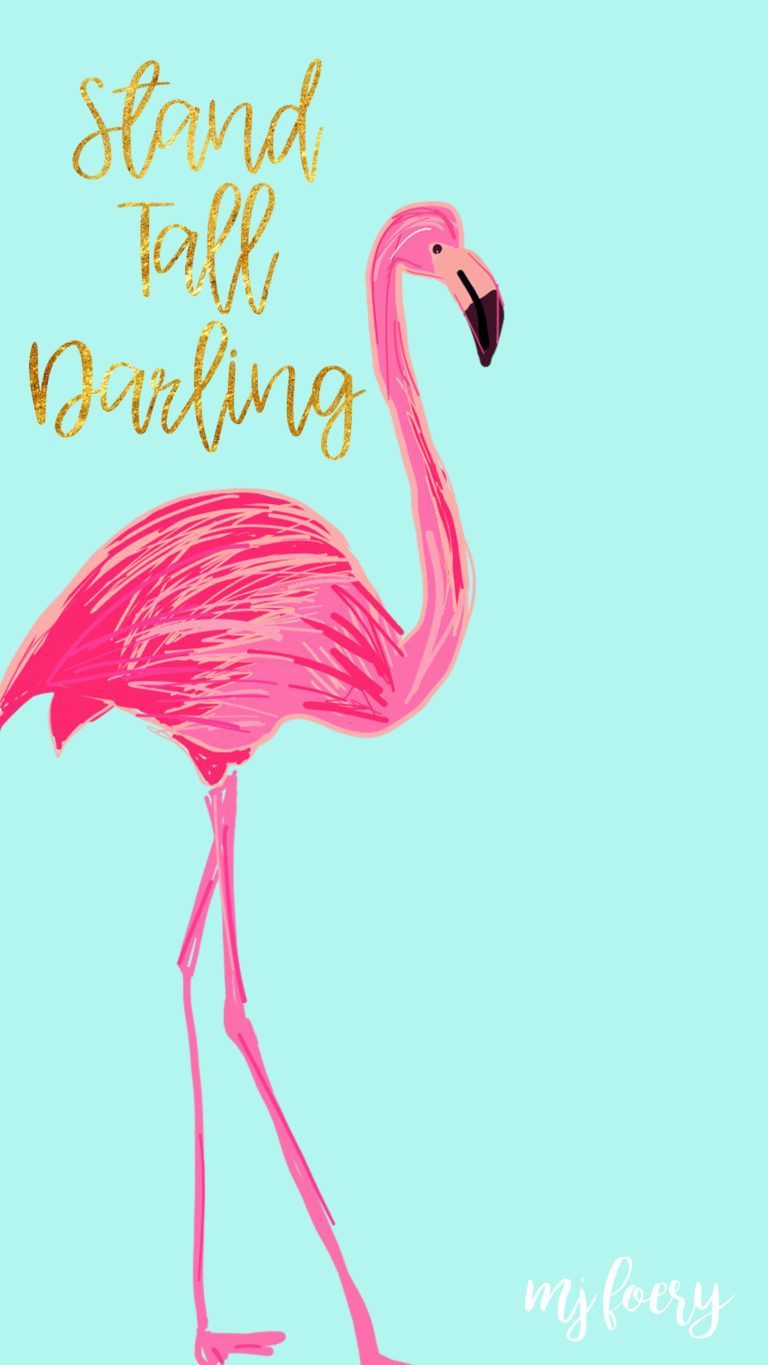 Iphone Flamingo Wallpapers