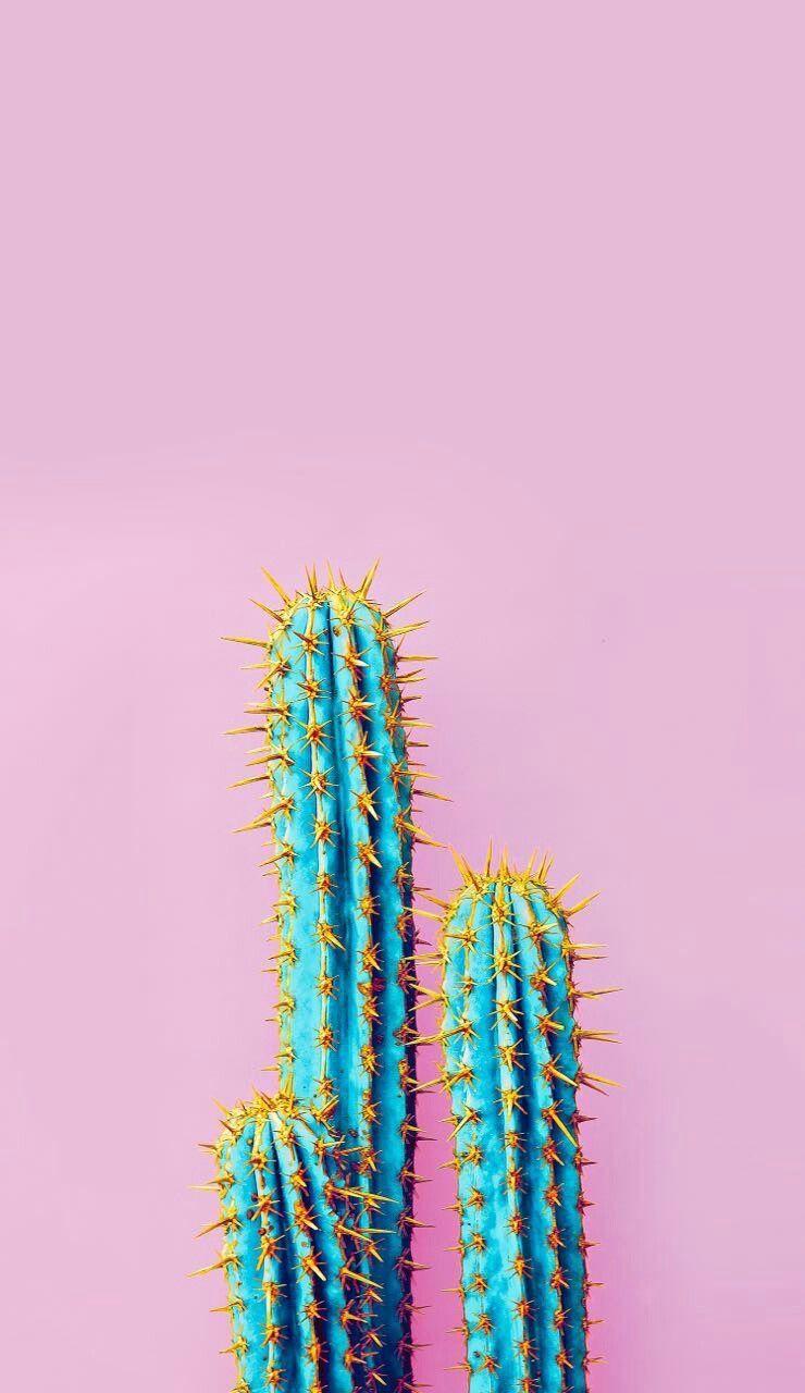 Iphone Pastel Cactus Wallpapers