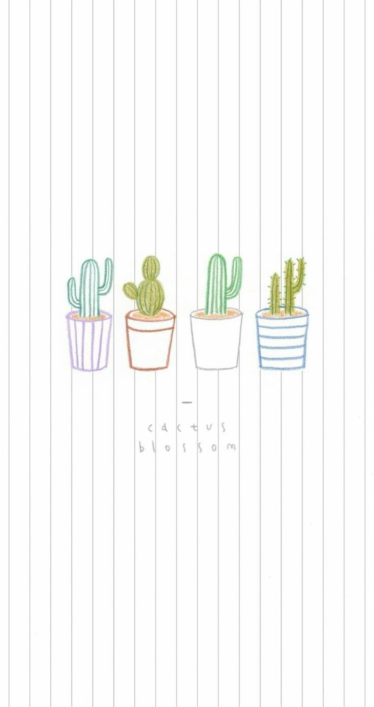 Iphone Pastel Cactus Wallpapers