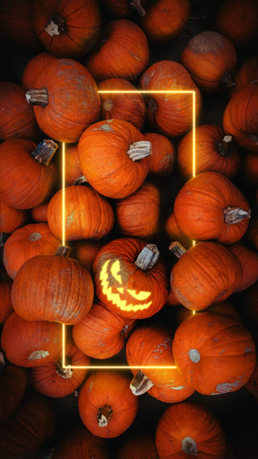 Iphone Pumpkin Wallpapers