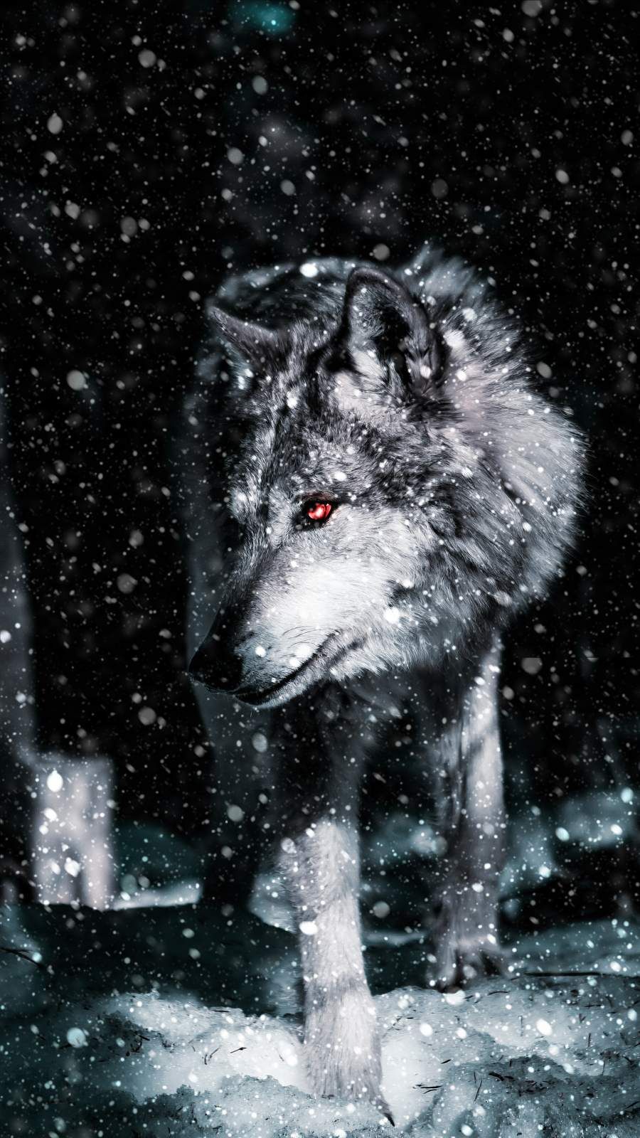 Iphone Wolf Wallpapers