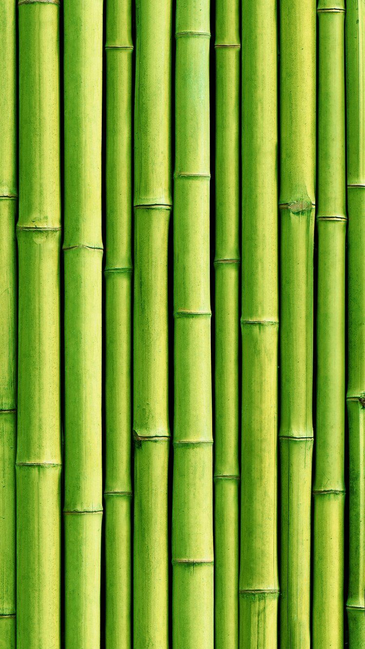 Iphone Xs Max Bamboo Wallpapers