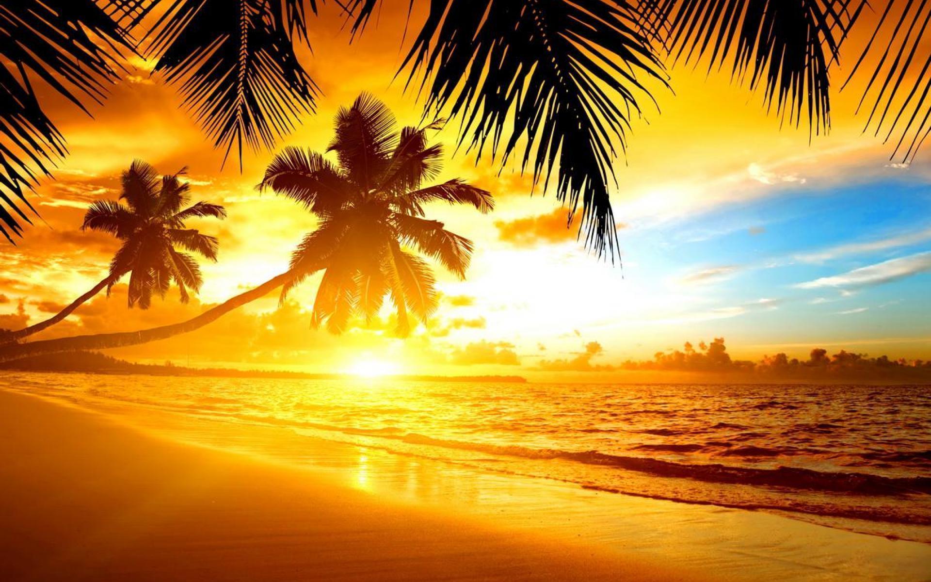 Island Sunset Wallpapers