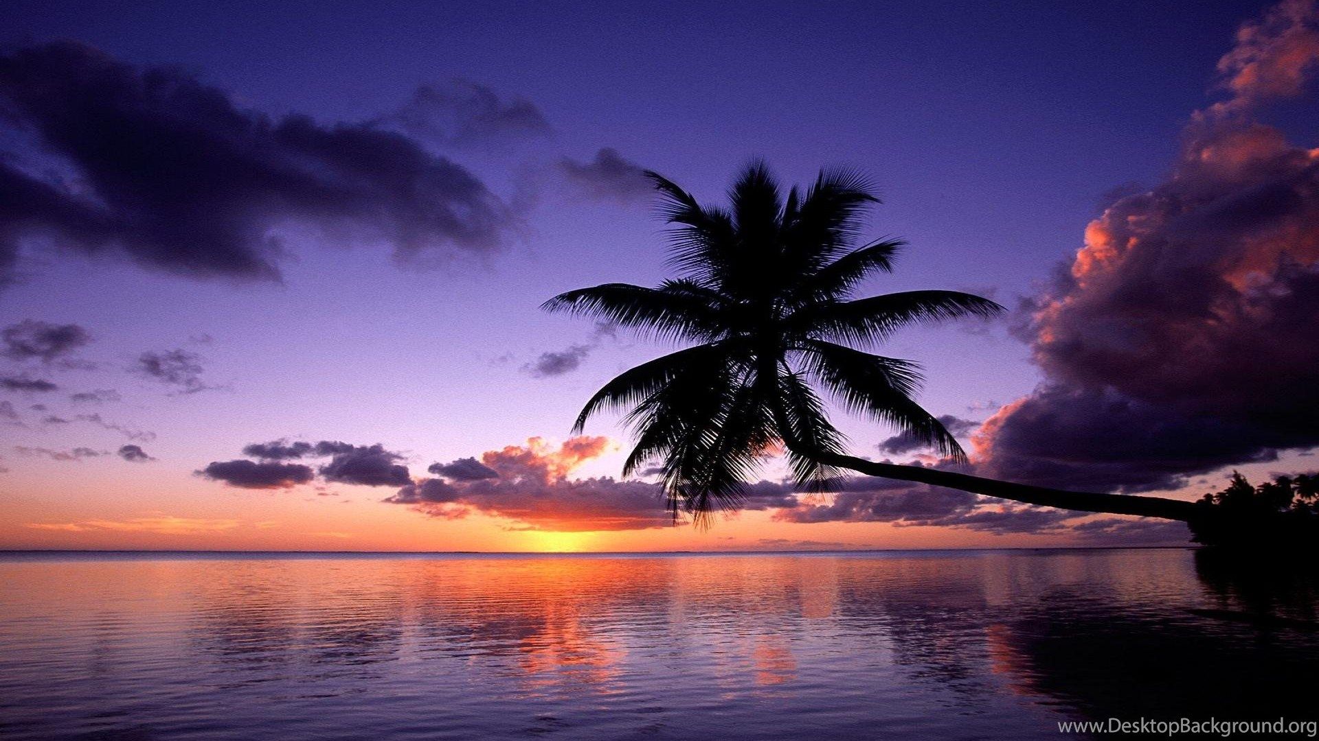 Island Sunset Wallpapers