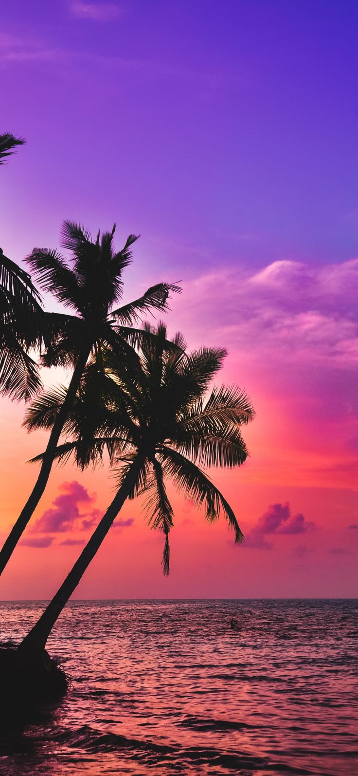 Island Sunset Wallpapers