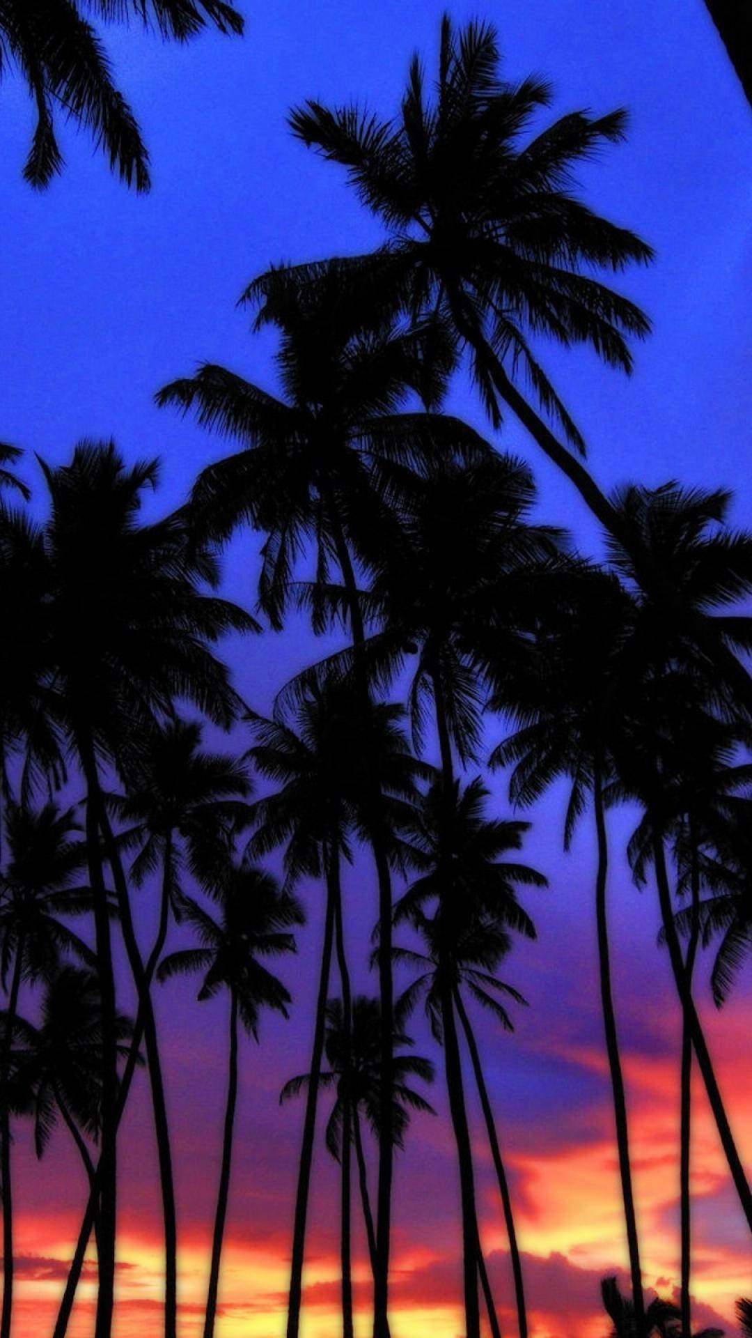 Island Sunset Wallpapers