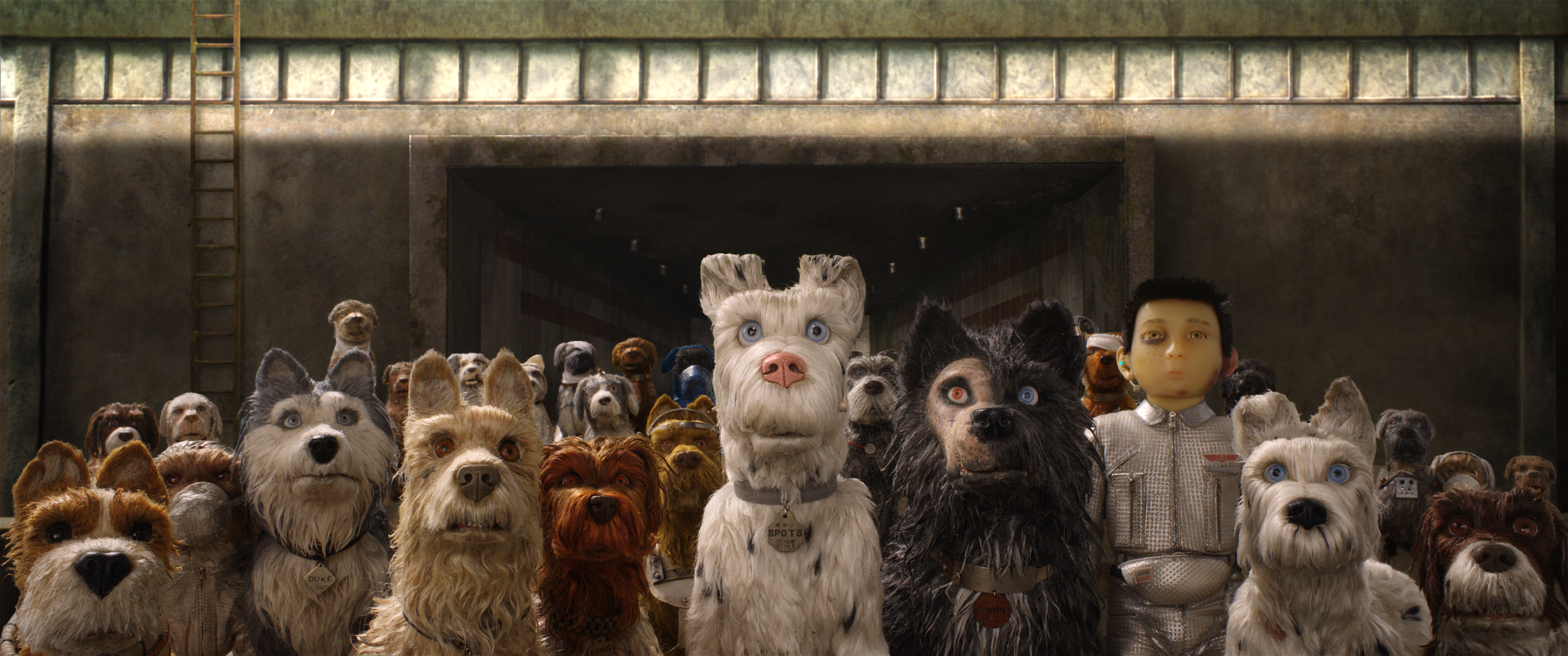 Isle Of Dogs Hd Wallpapers