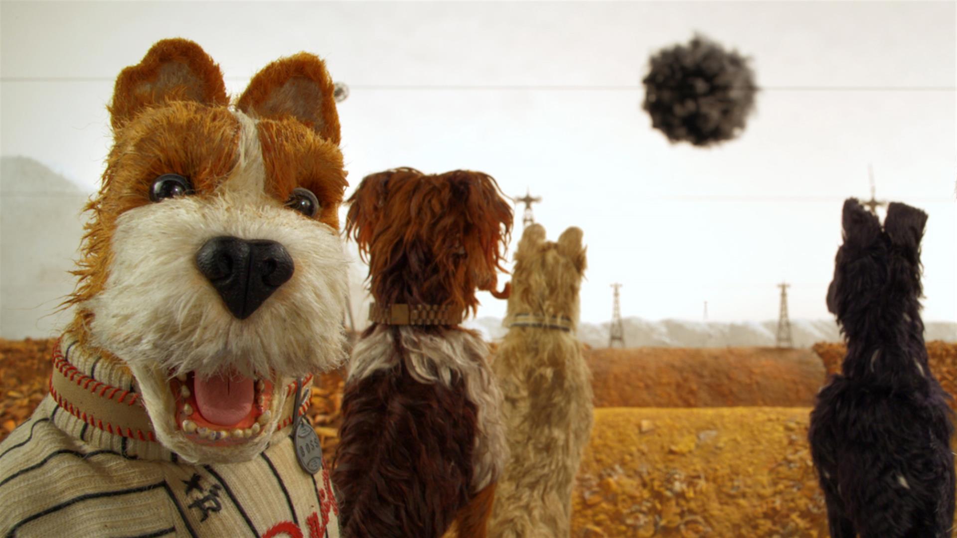 Isle Of Dogs Hd Wallpapers