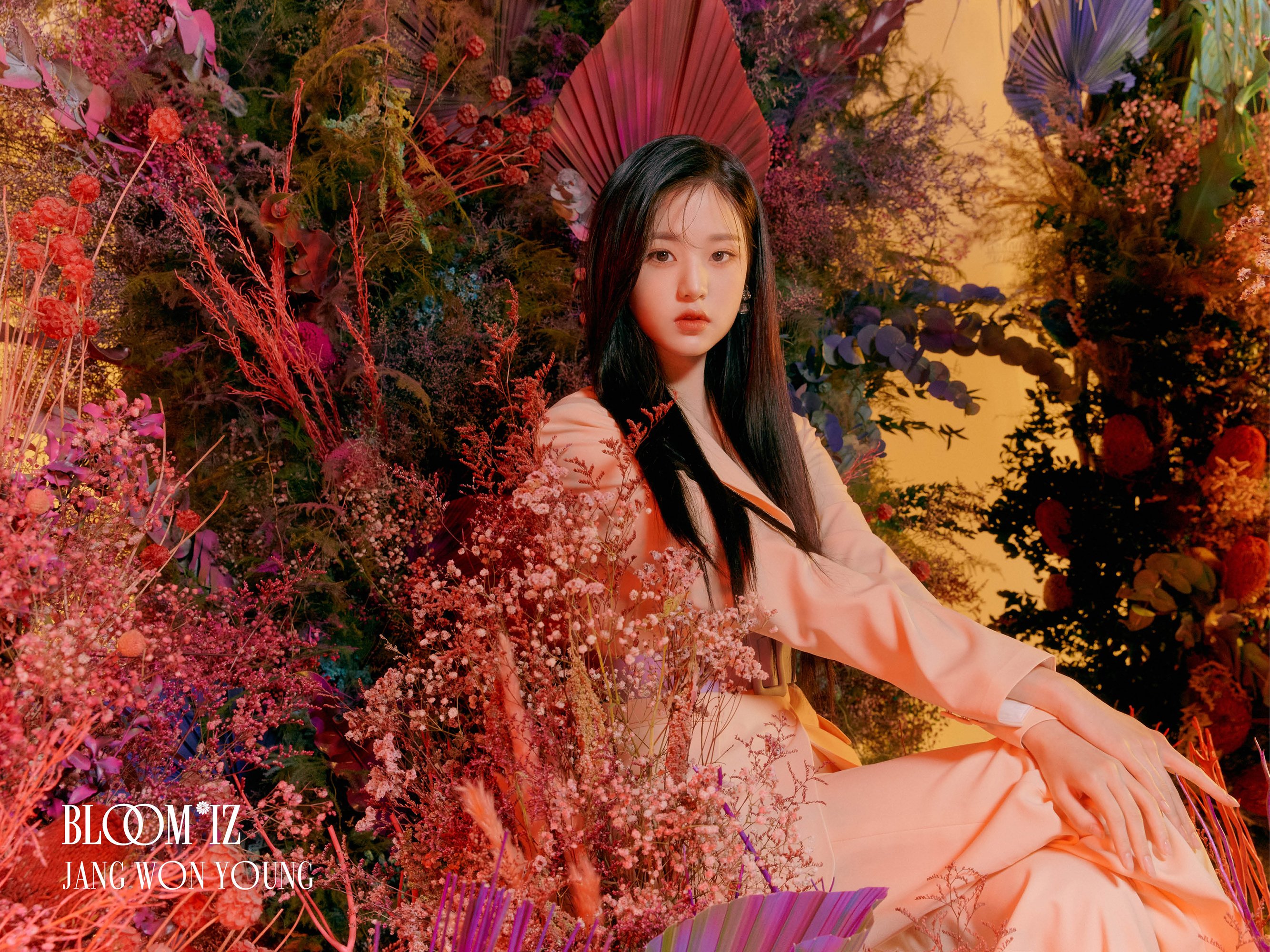 Izone Wonyoung Wallpapers