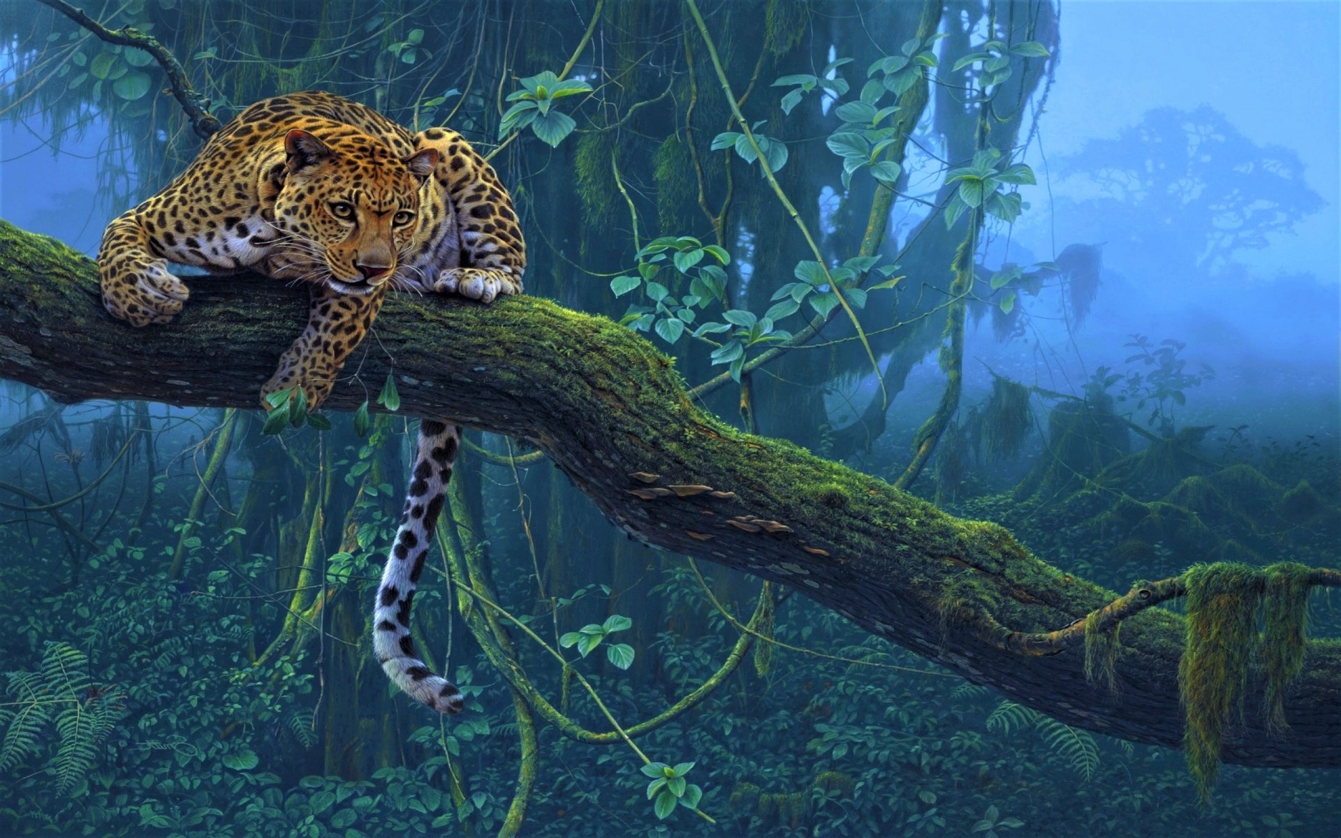 Jaguar Animal Wallpapers