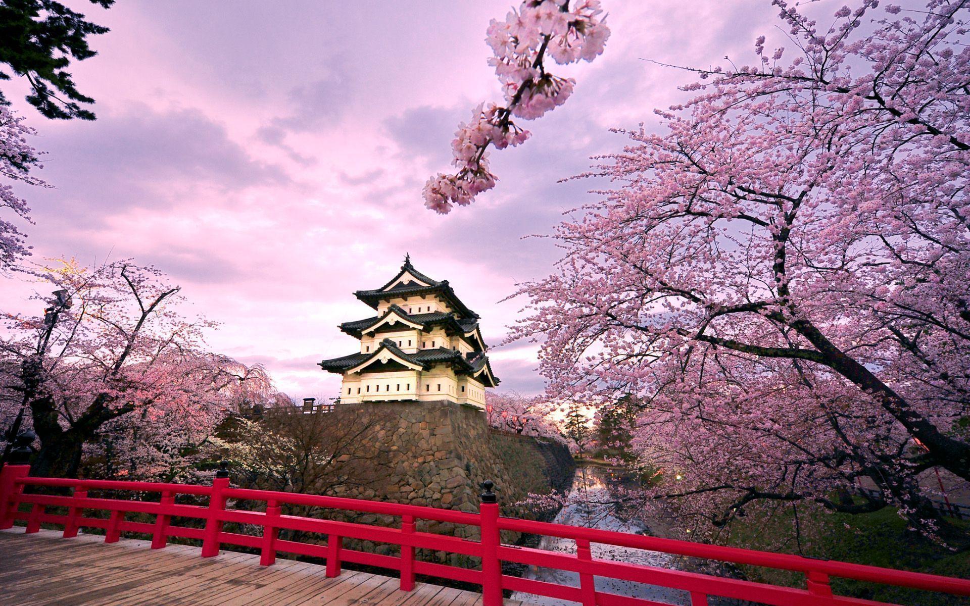 Japan Photography Wallpapers