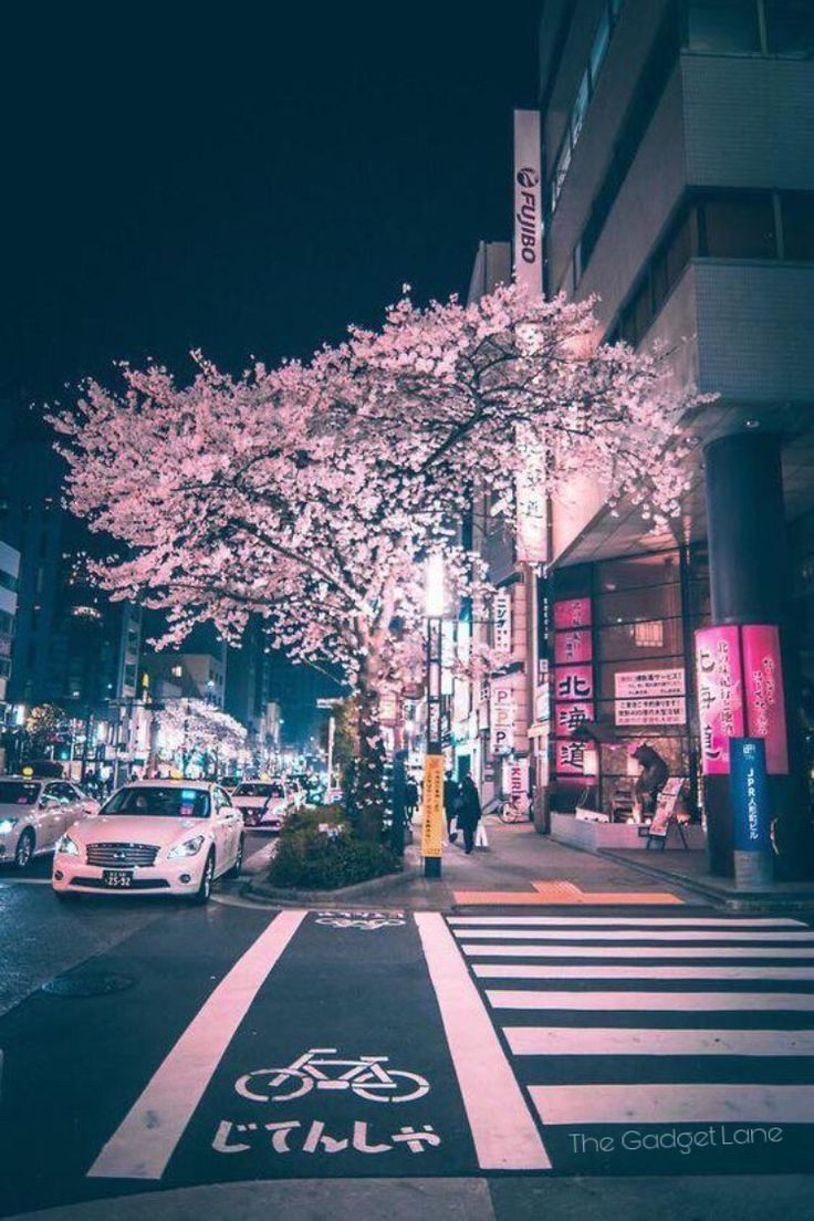 Japan Photography Wallpapers