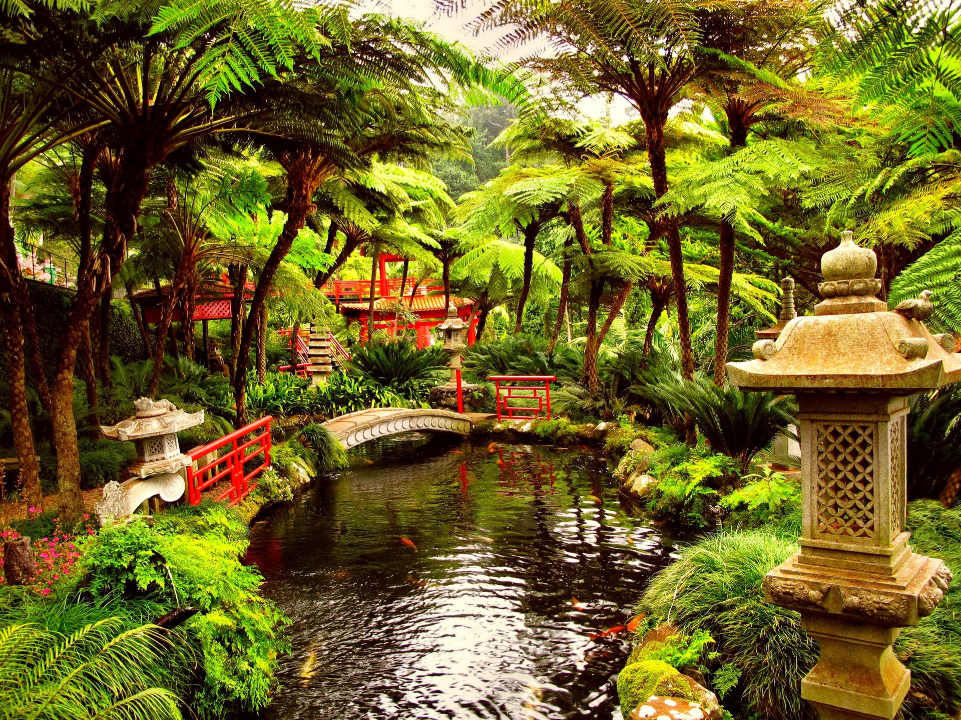 Japanese Garden Winter Wallpapers