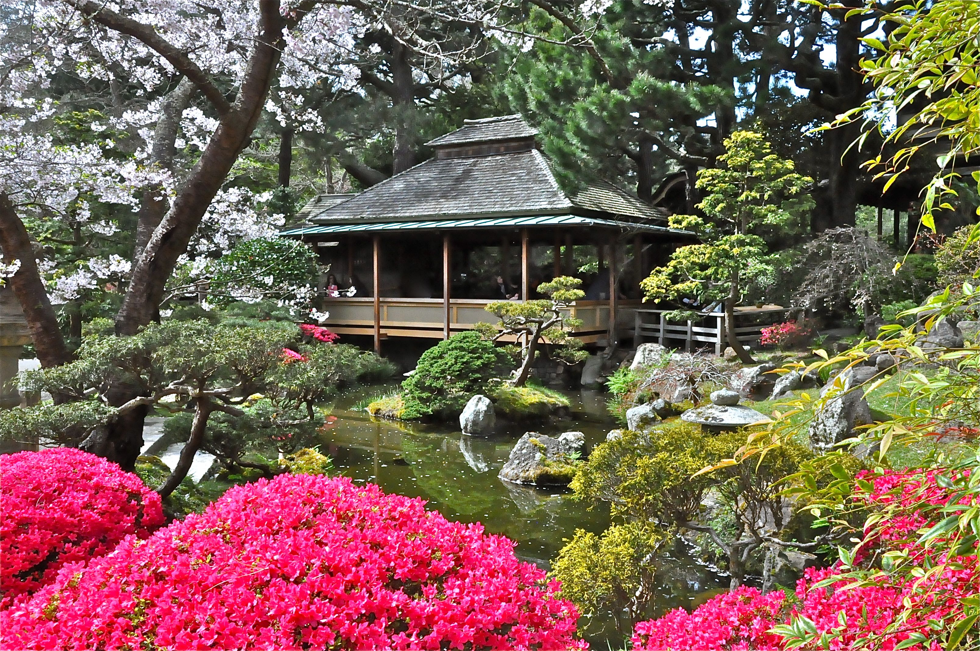 Japanese Tea Garden Wallpapers