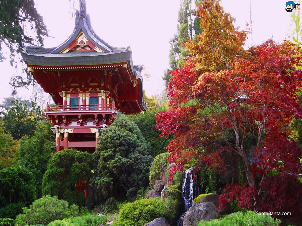 Japanese Tea Garden Wallpapers