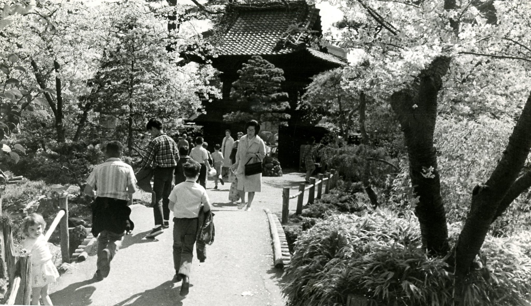 Japanese Tea Garden Wallpapers