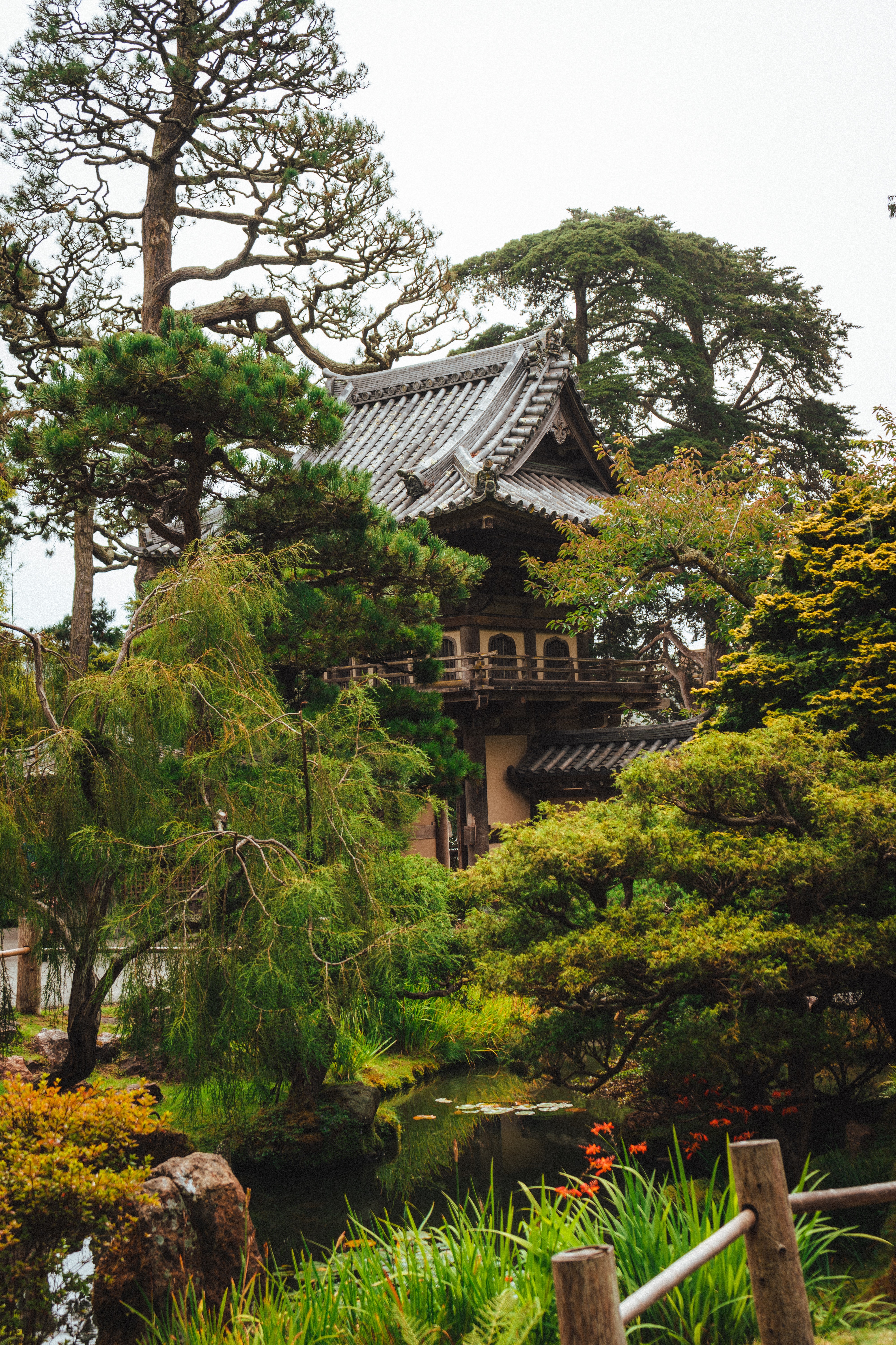 Japanese Tea Garden Wallpapers