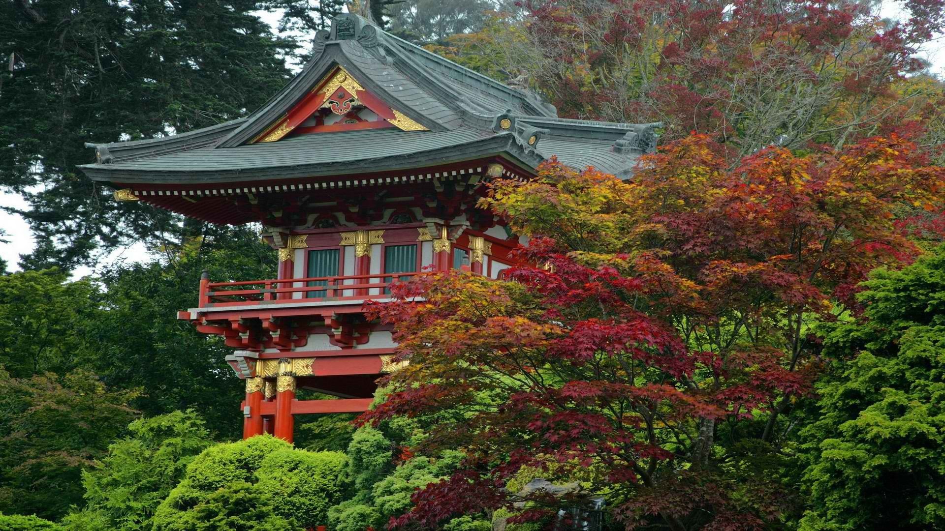 Japanese Tea Garden Wallpapers