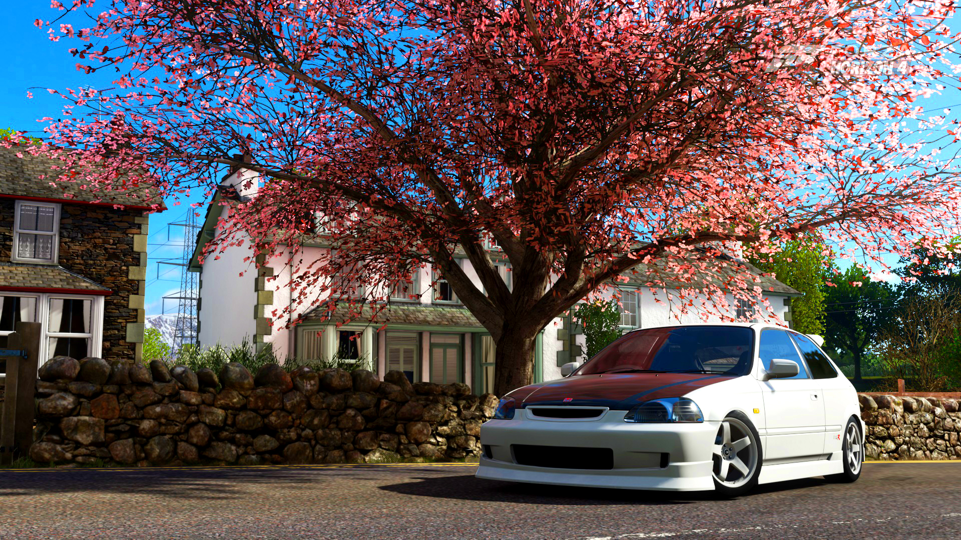 Jdm Cherry Blossom Wallpapers