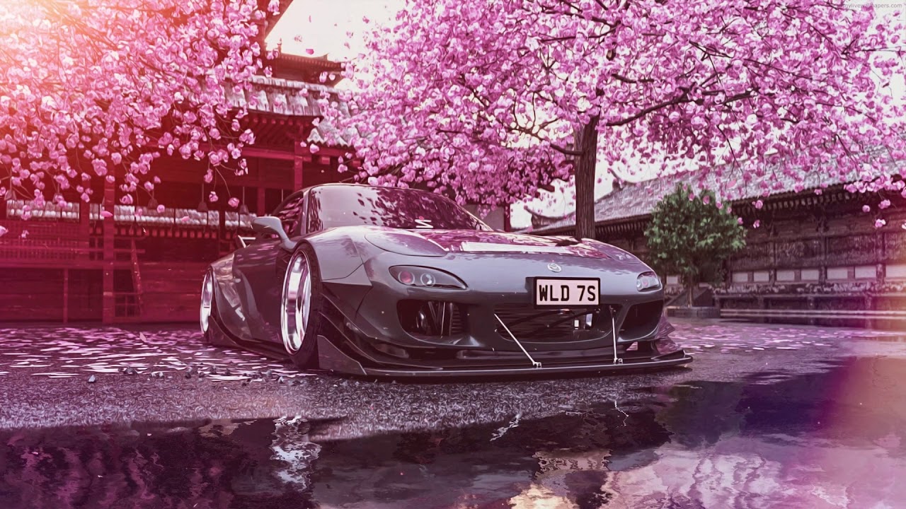 Jdm Cherry Blossom Wallpapers