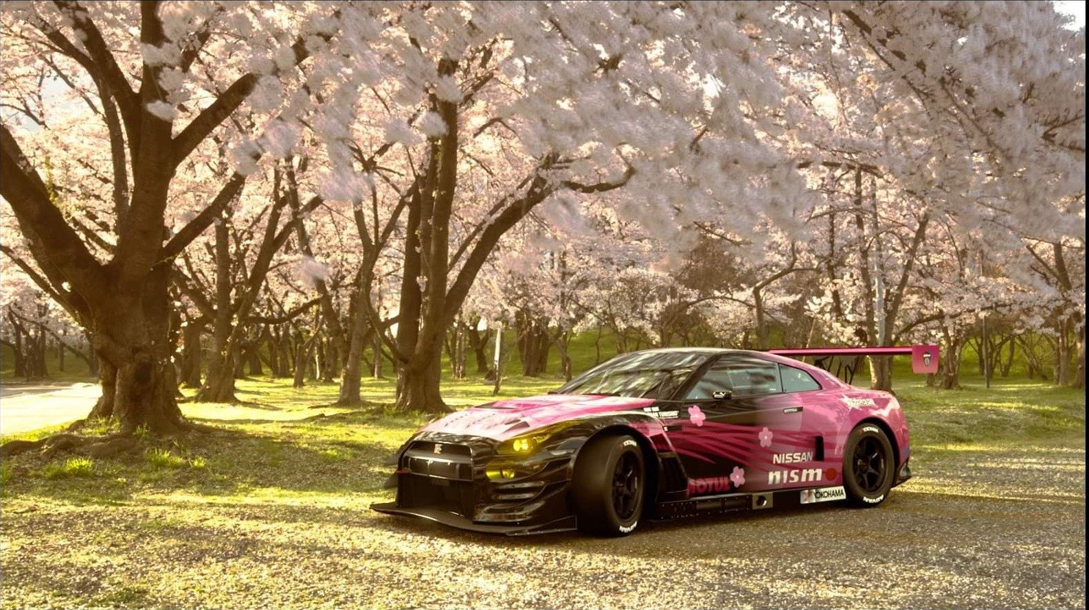 Jdm Cherry Blossom Wallpapers