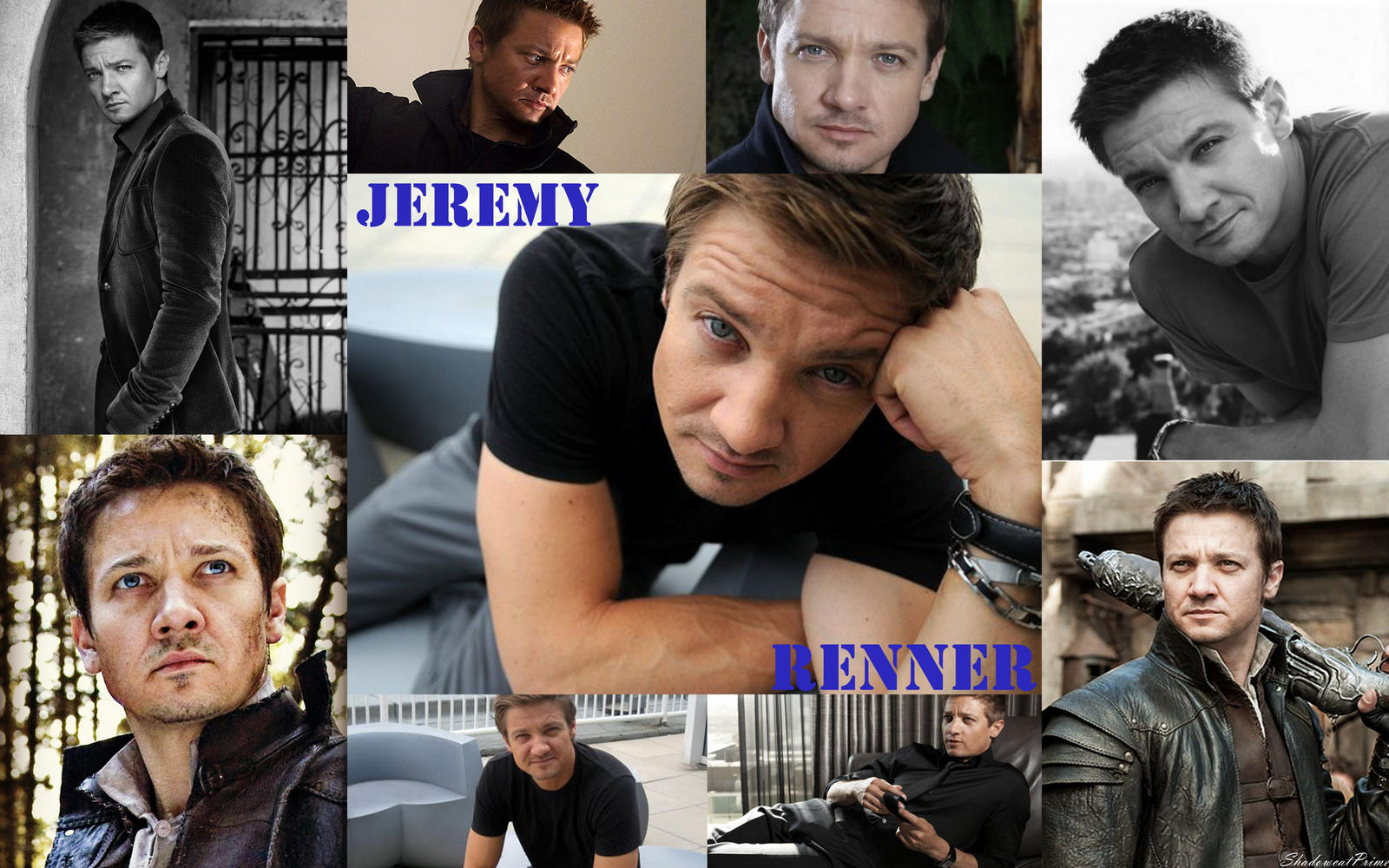 Jeremy Renner Images Wallpapers