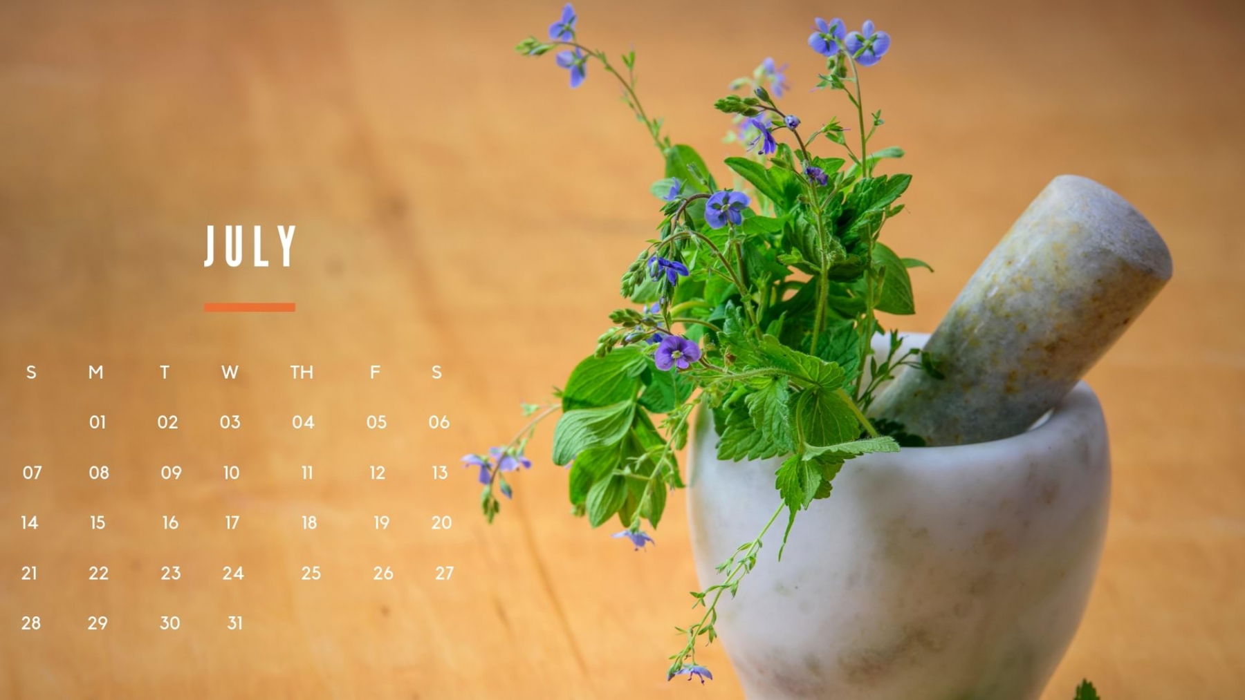 July 2019 Desktop Wallpapers