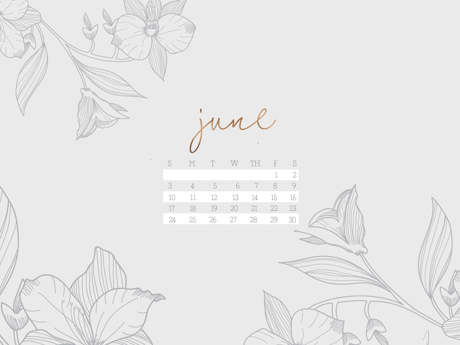 June 2018 Desktop Wallpapers