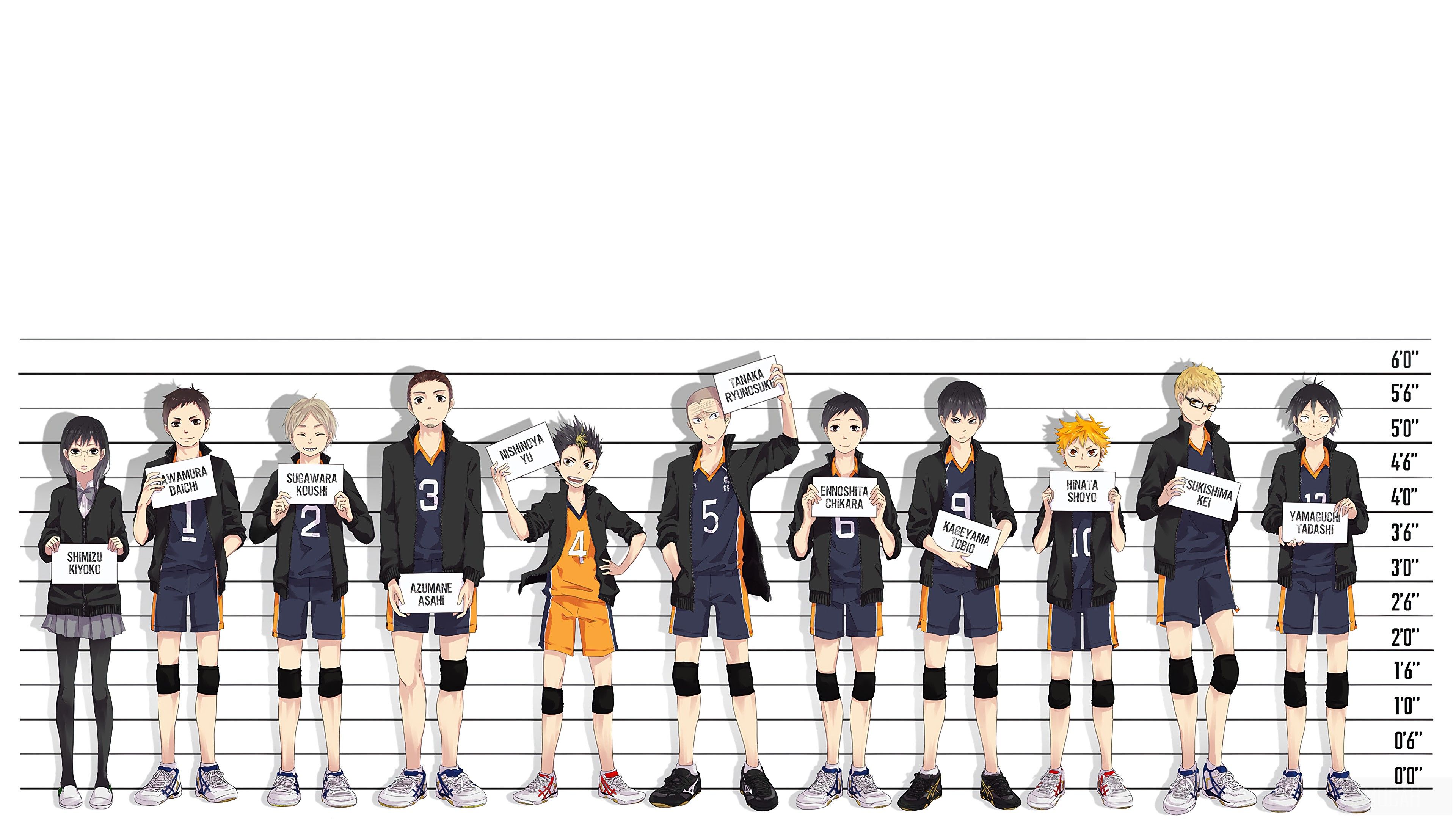 Karasuno Fly Banner Wallpapers