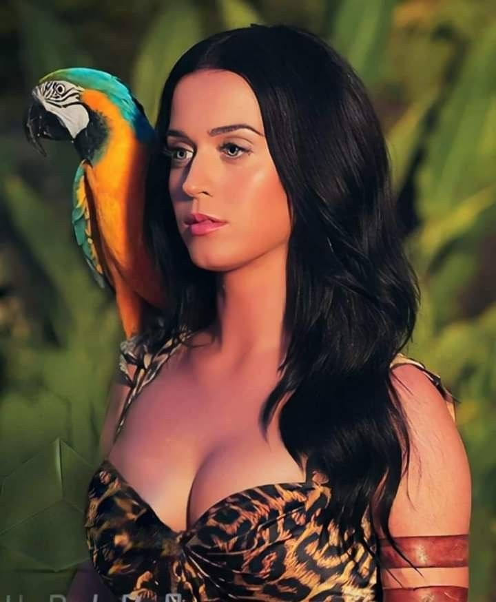 Katy Perry Roar Wallpapers