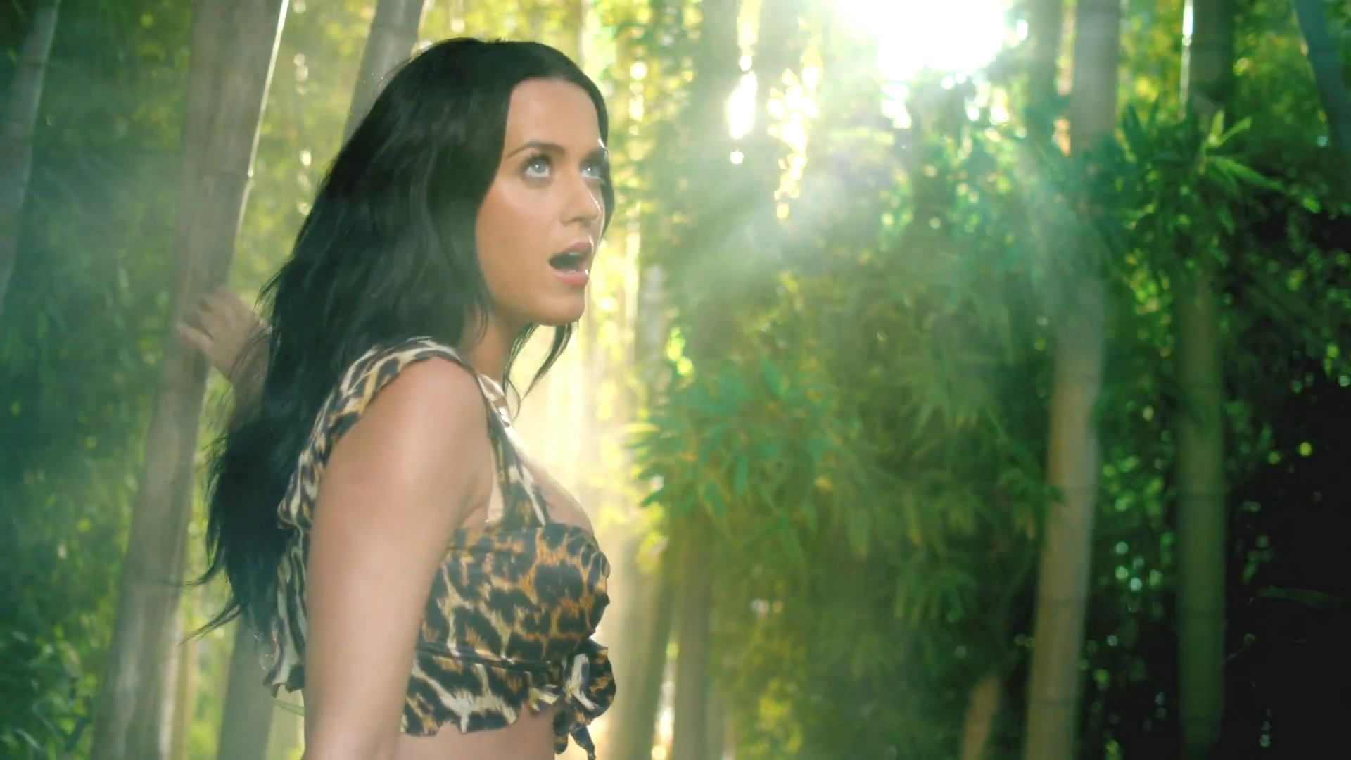 Katy Perry Roar Wallpapers