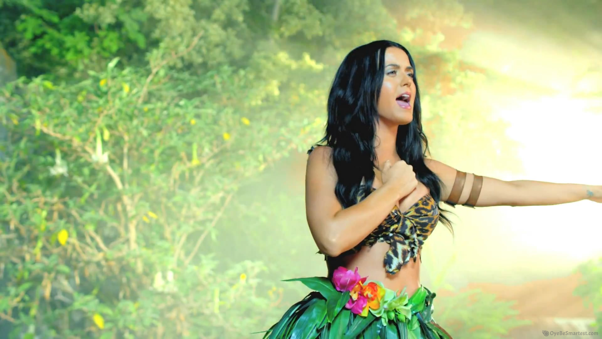 Katy Perry Roar Wallpapers