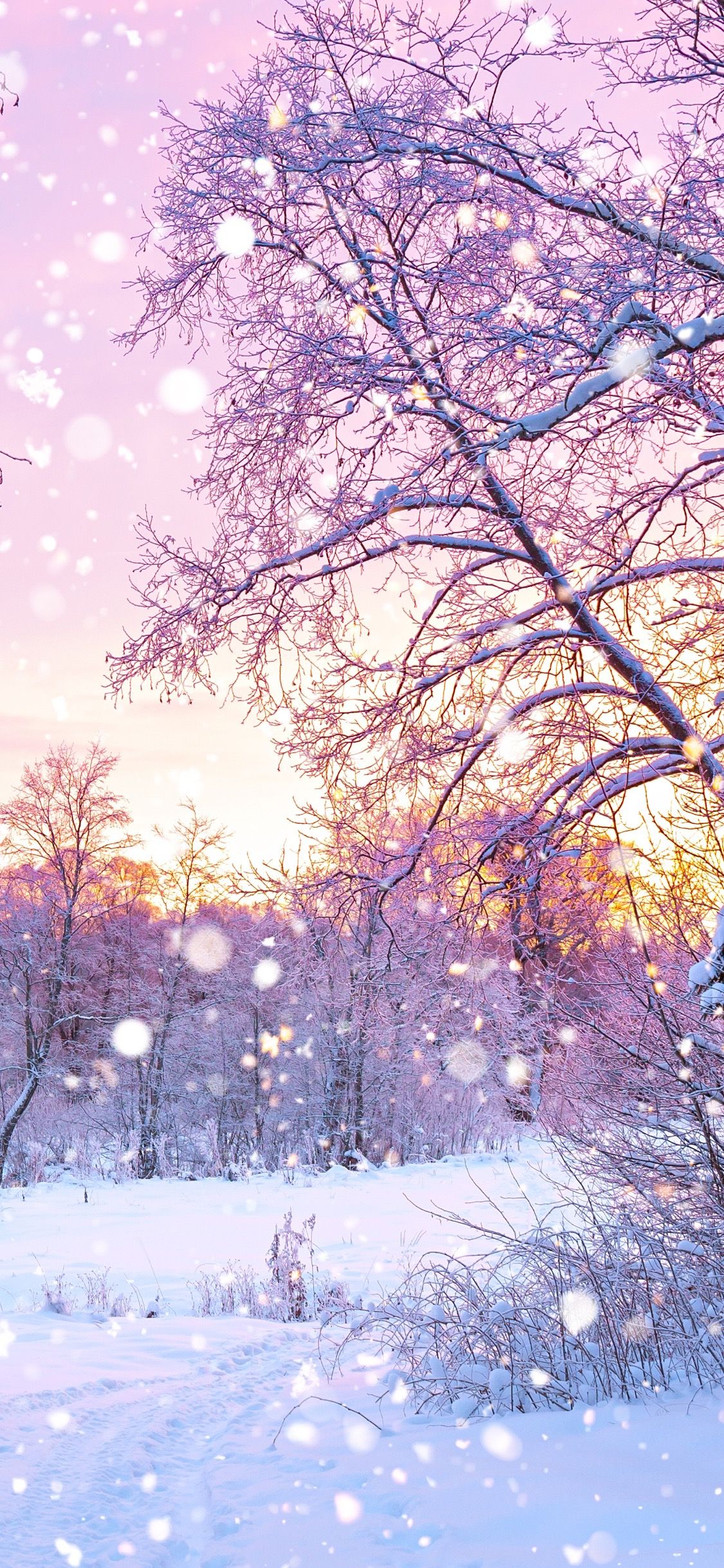 Kawaii Snow Wallpapers