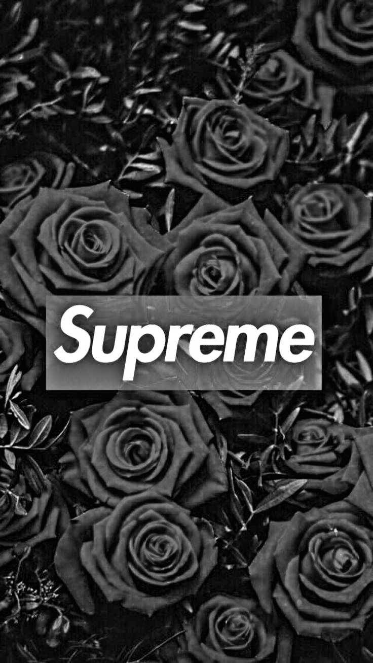 Kermit Supreme Wallpapers