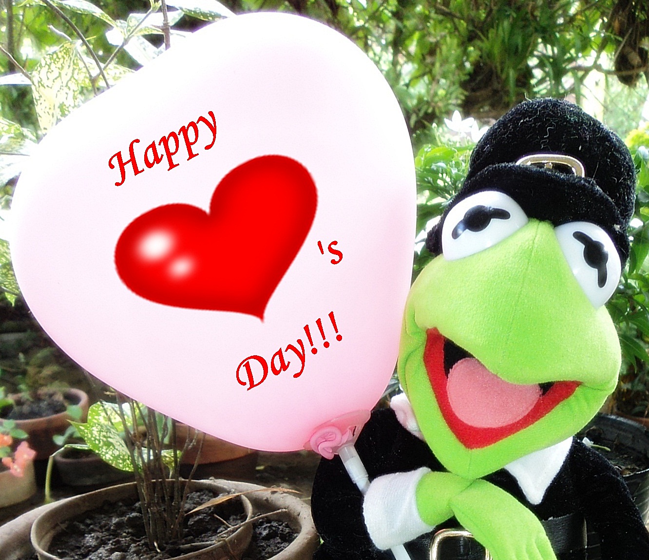 Kermit The Frog Hearts Wallpapers