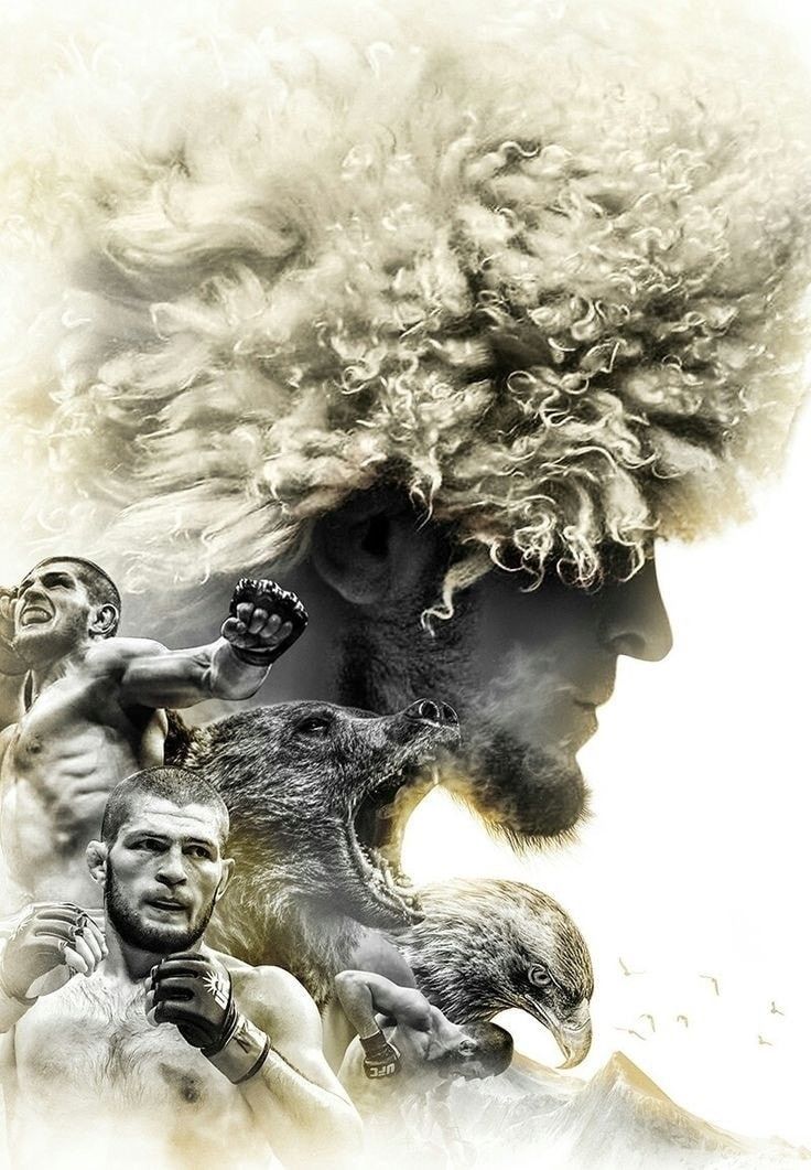 Khabib Wallpapers