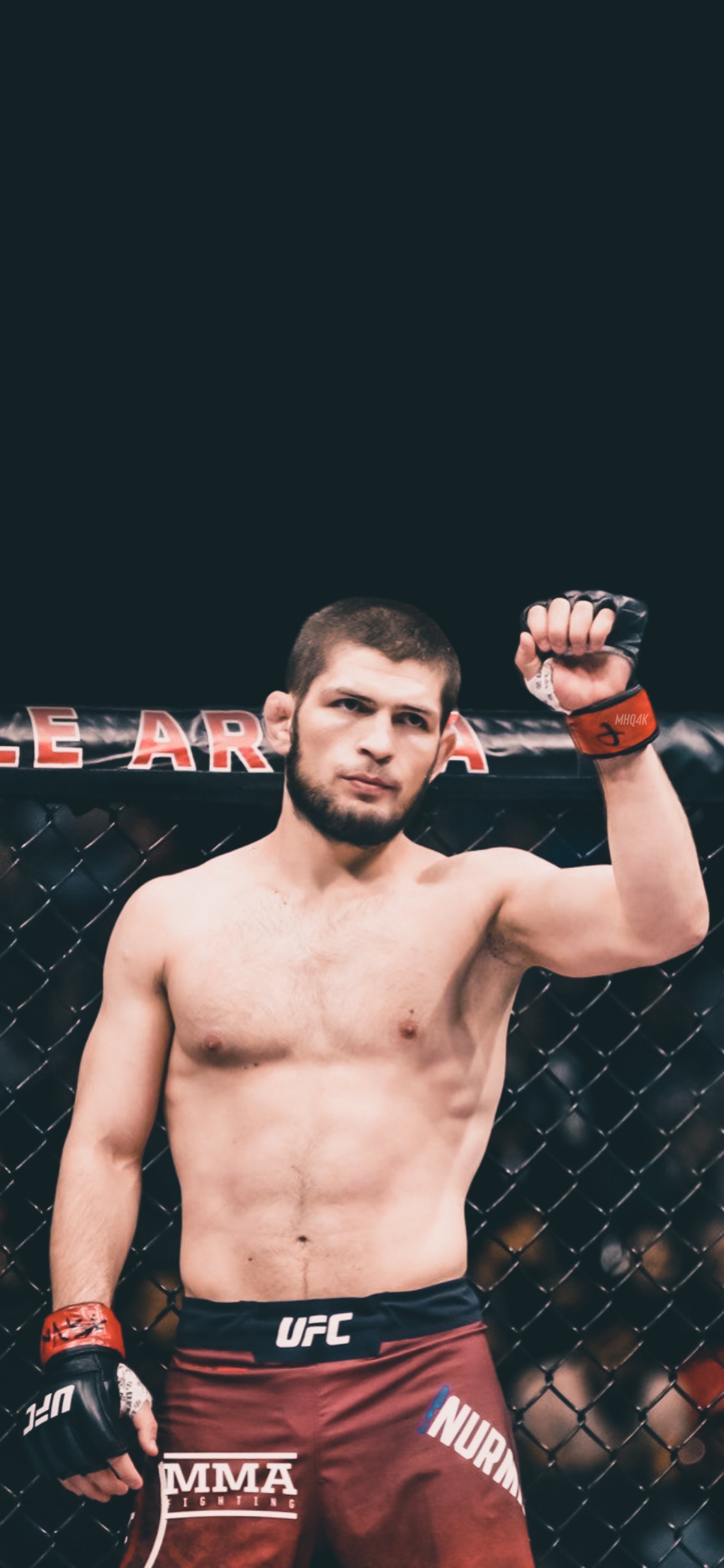 Khabib Wallpapers