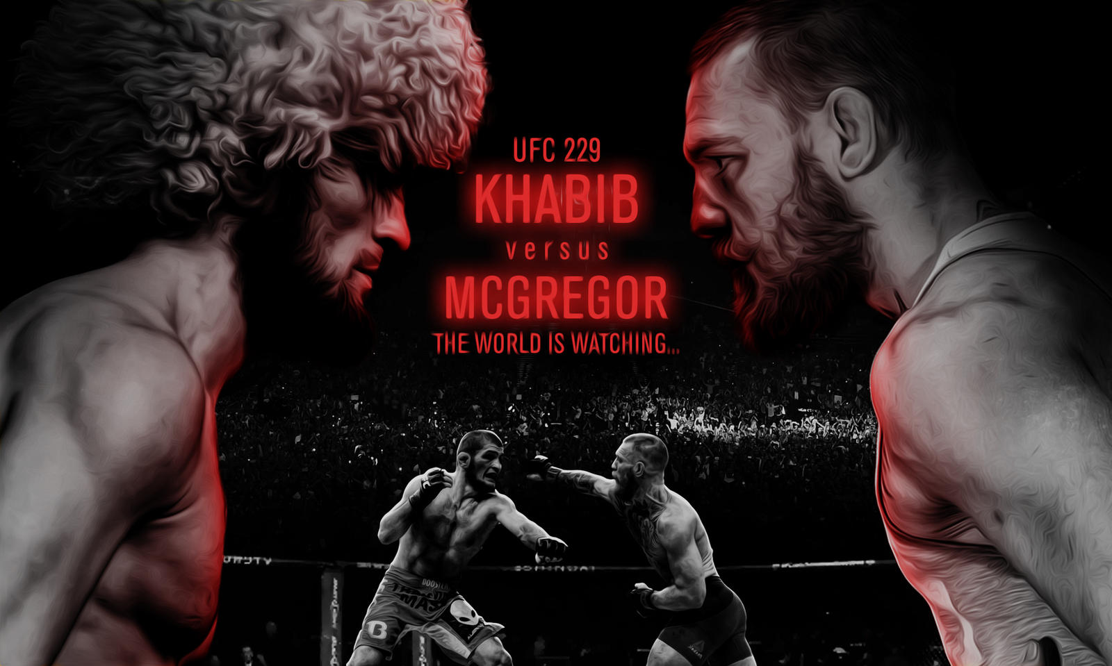 Khabib Wallpapers