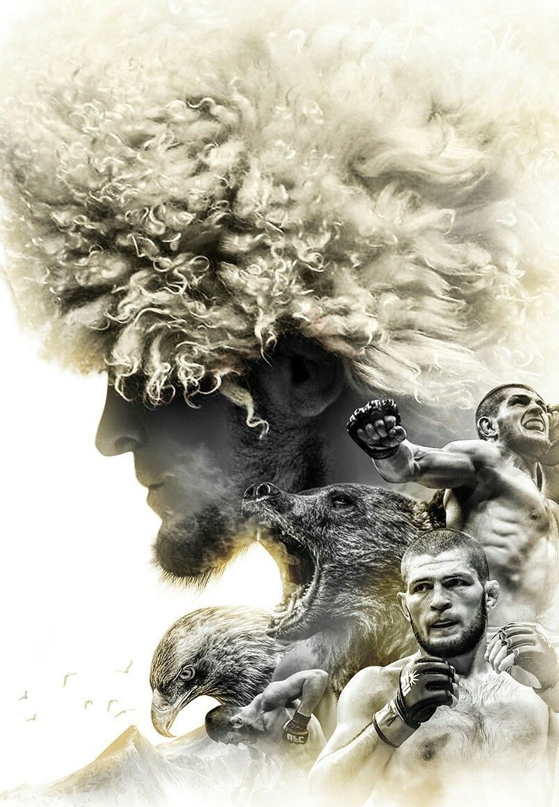 Khabib Wallpapers