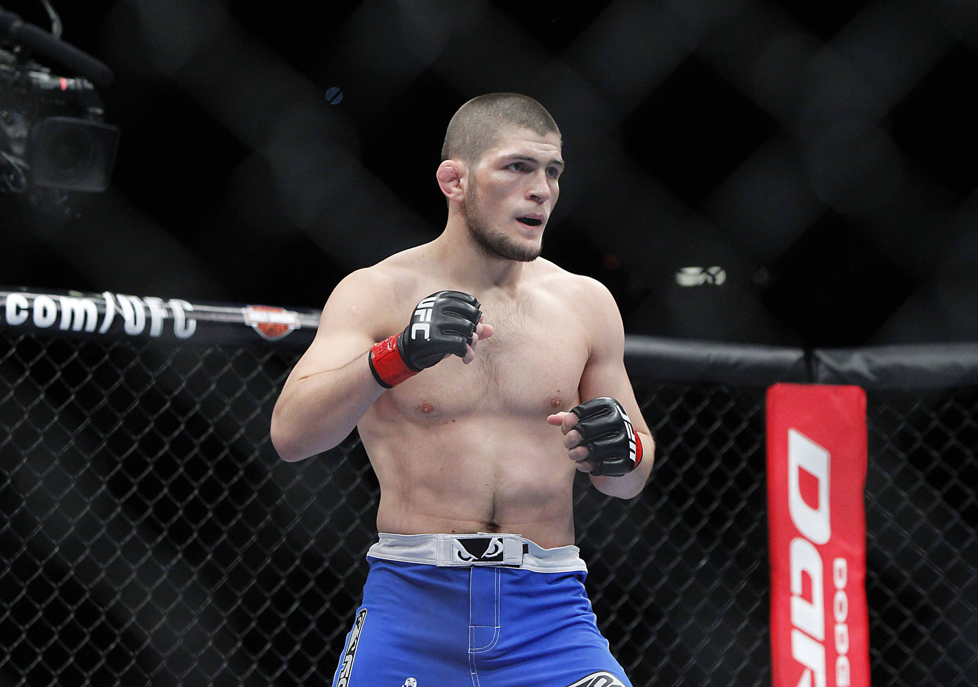 Khabib Wallpapers