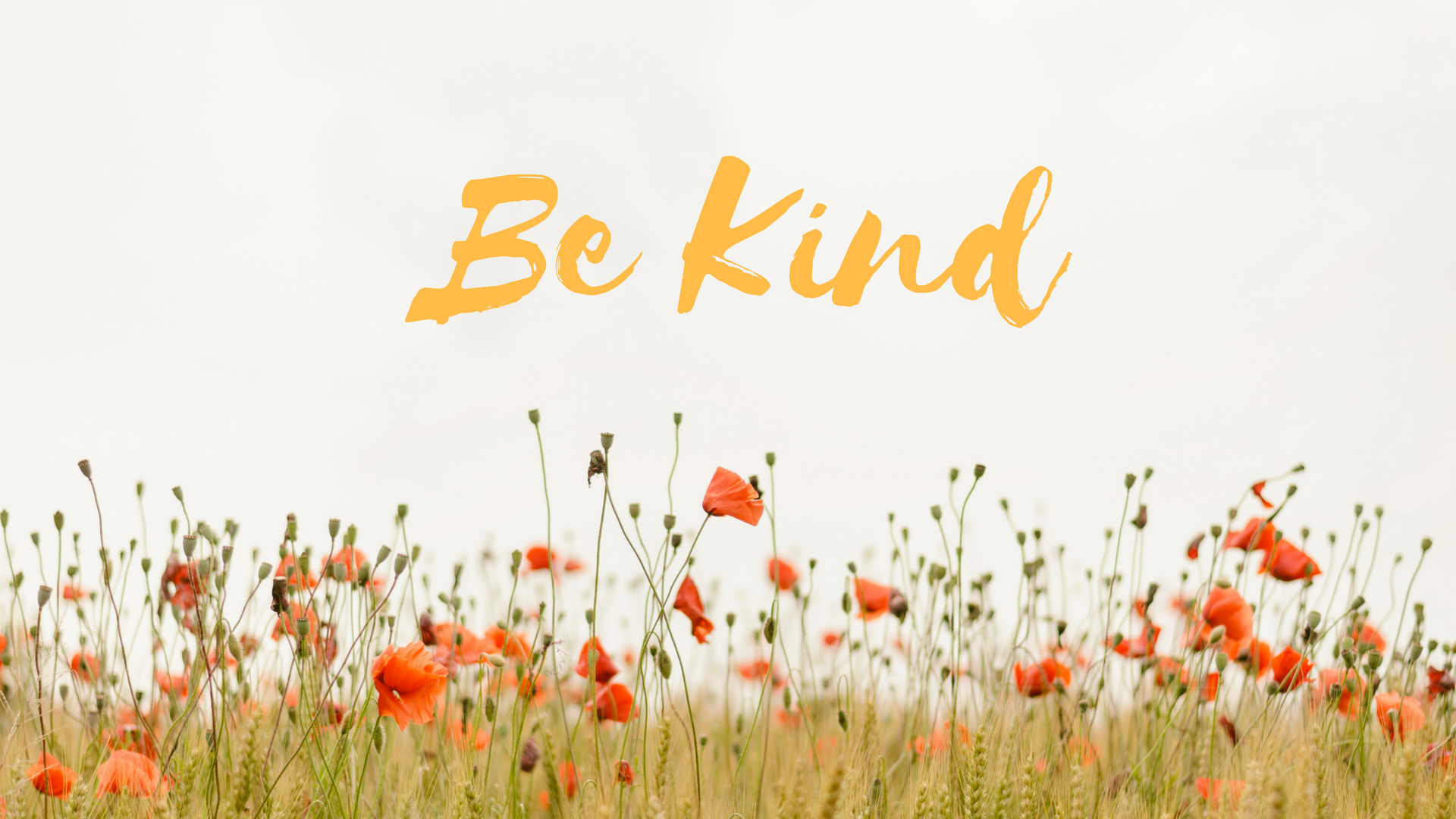 Kind Wallpapers