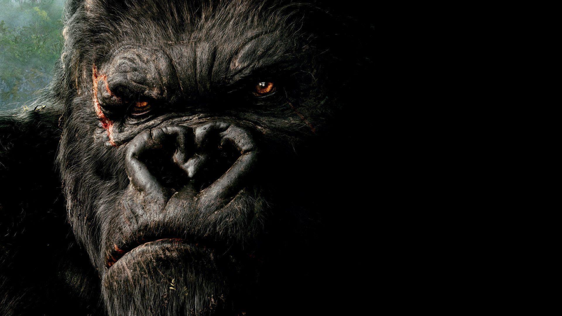 King Kong Wallpapers