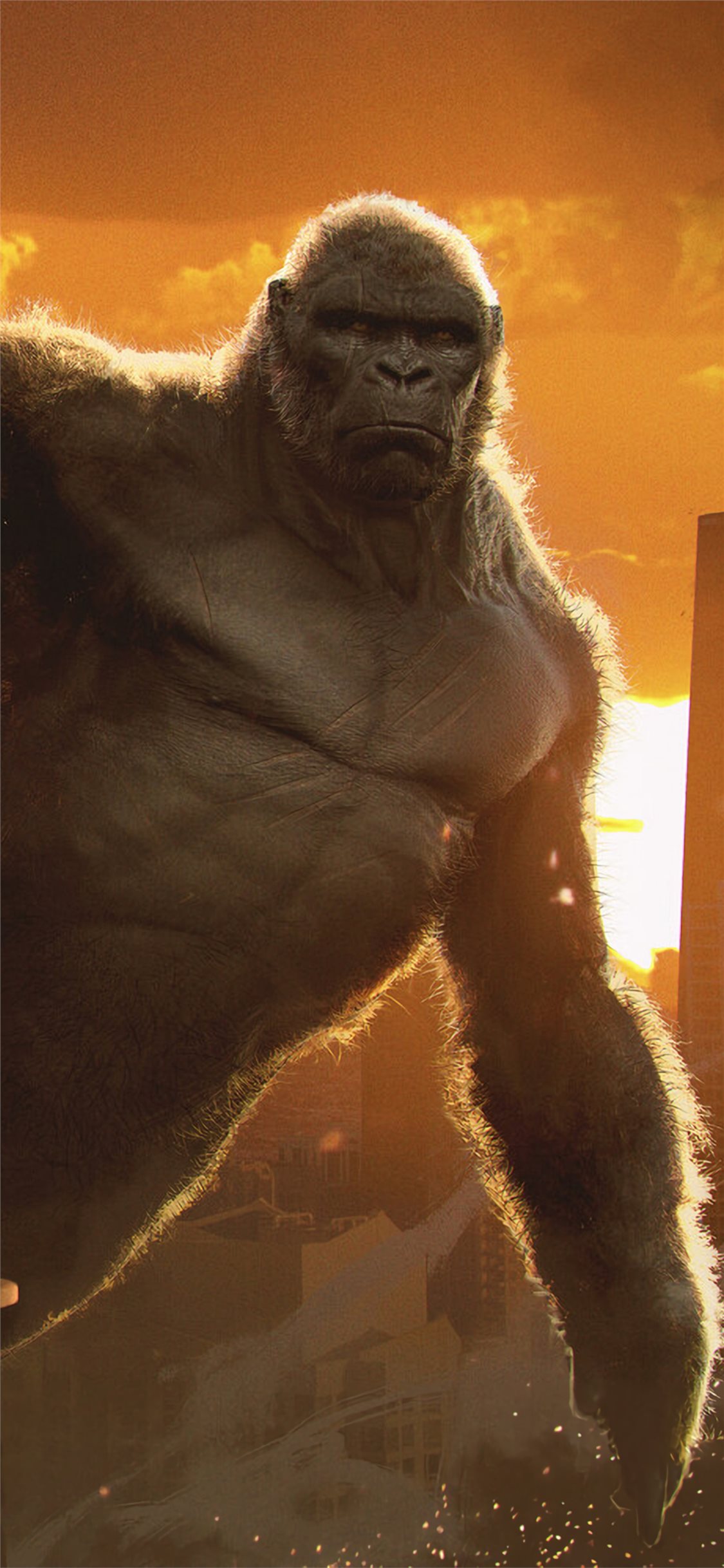 King Kong Wallpapers