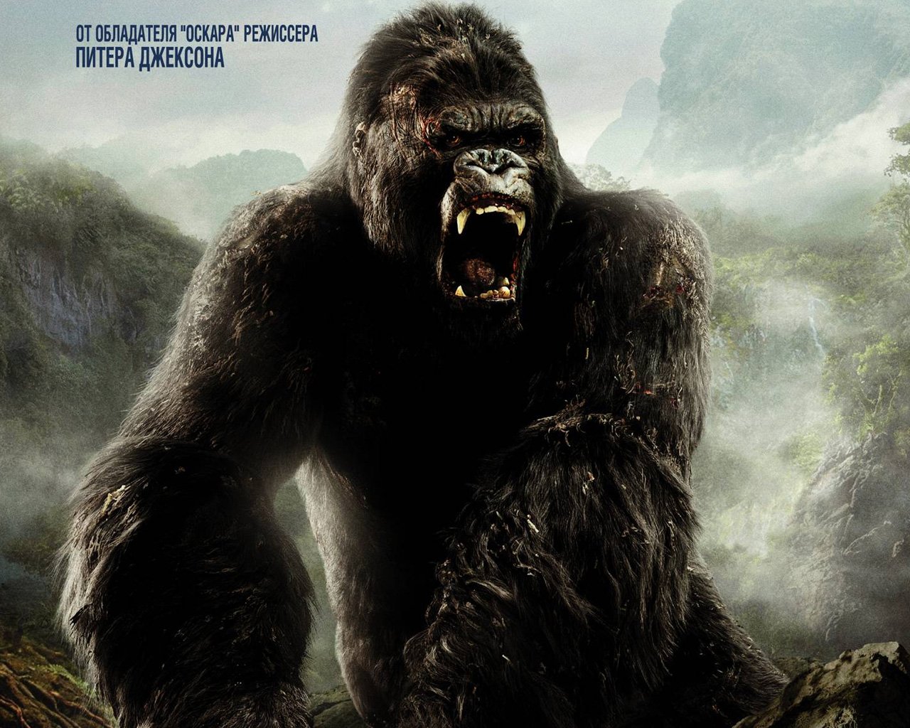 King Kong Wallpapers